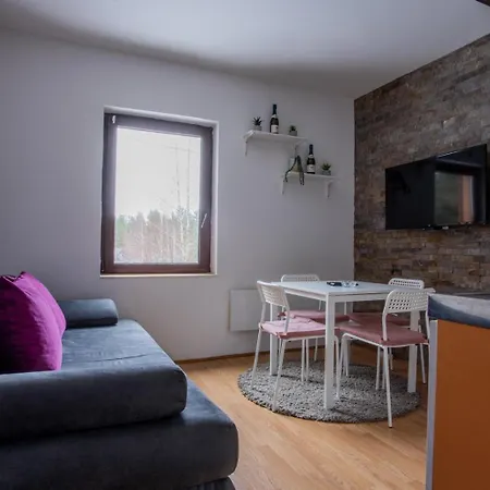 Apartment Sumska Kuca Divcibare