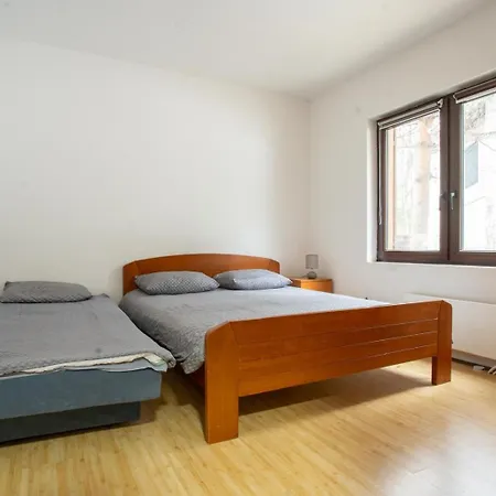 Apartment Sumska Kuca Divcibare