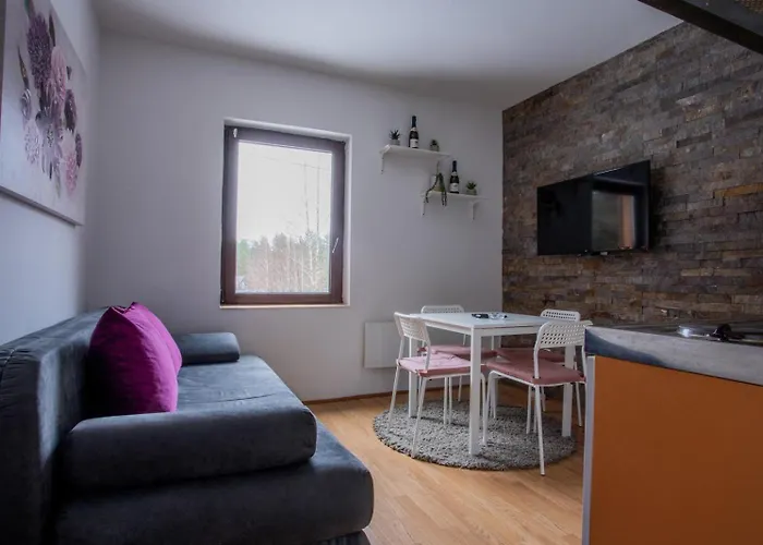 Apartman Sumska Kuca Divcibare