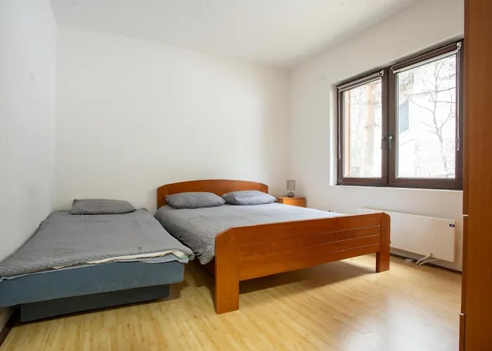 Apartman Sumska Kuca Divcibare